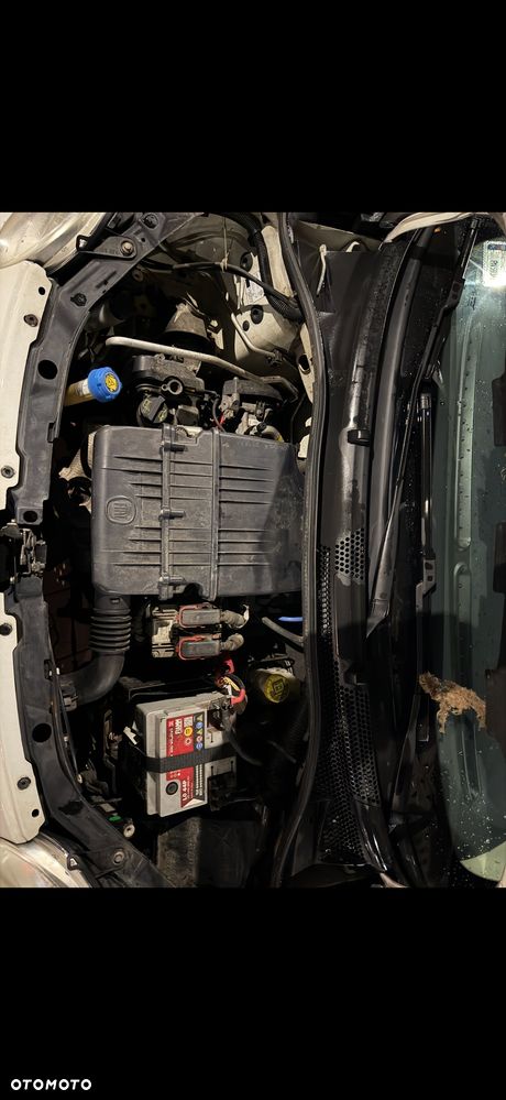 Fiat 500 - 6