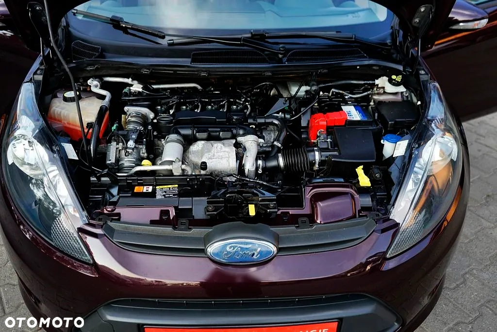 Ford Fiesta - 10