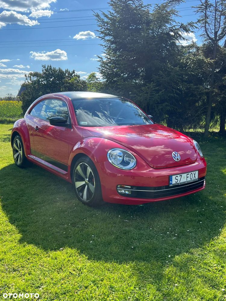 Volkswagen Beetle - 2
