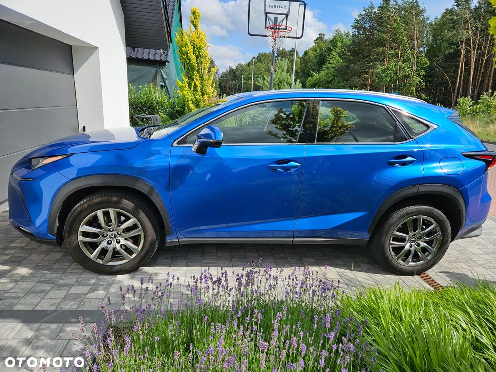 Lexus NX 300 Elegance Optimum AWD - 4