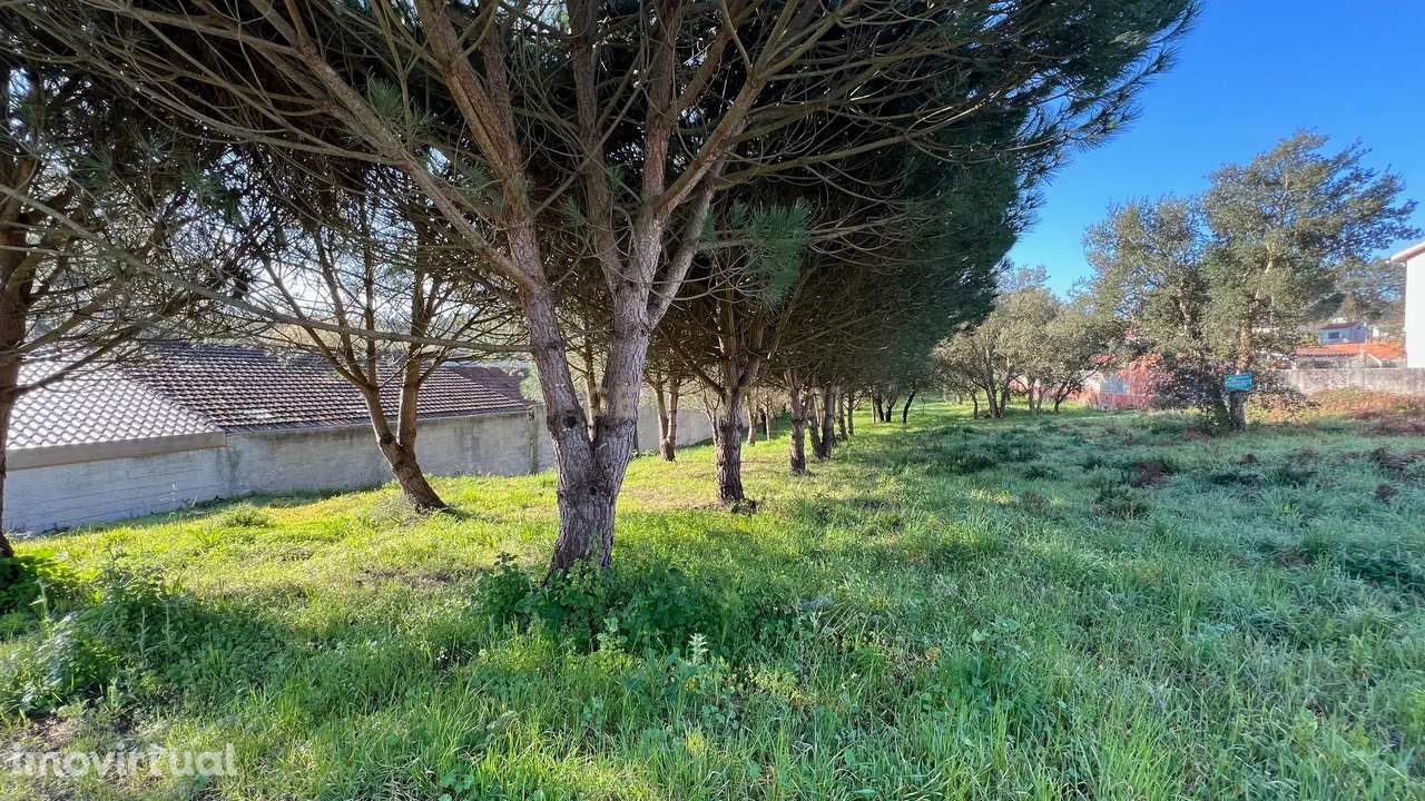 TERRENO RUSTICO - URBANIZAVEL - Grande imagem: 5/8