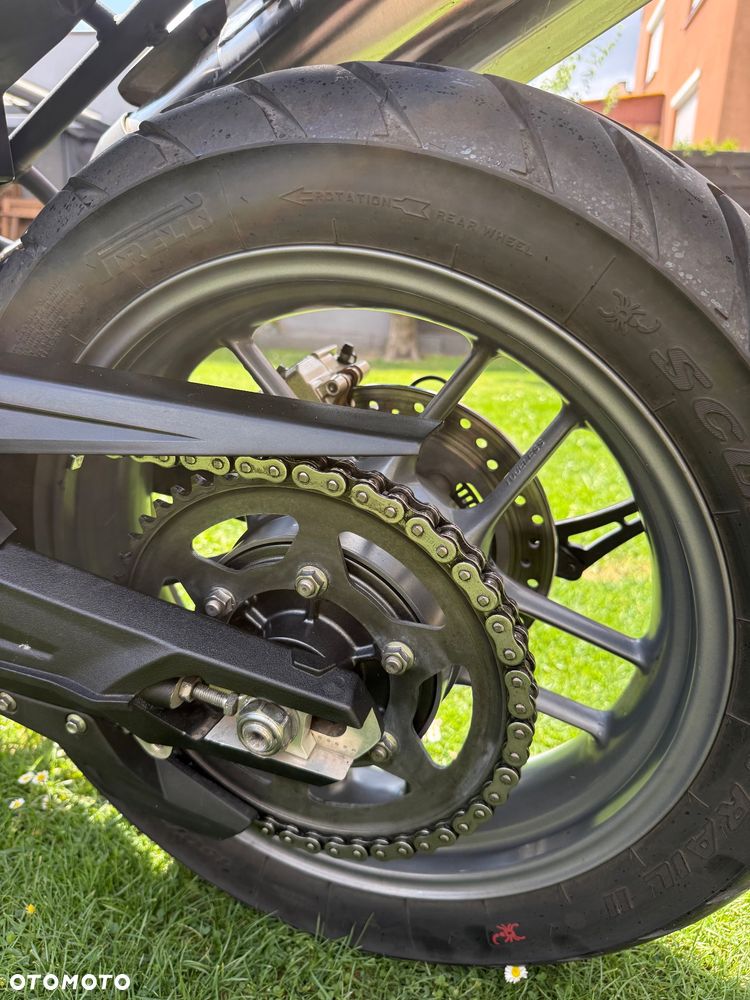 Triumph Tiger - 25