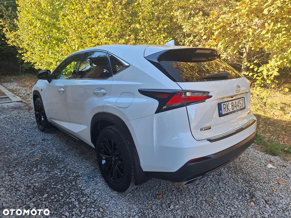 Lexus NX - 7