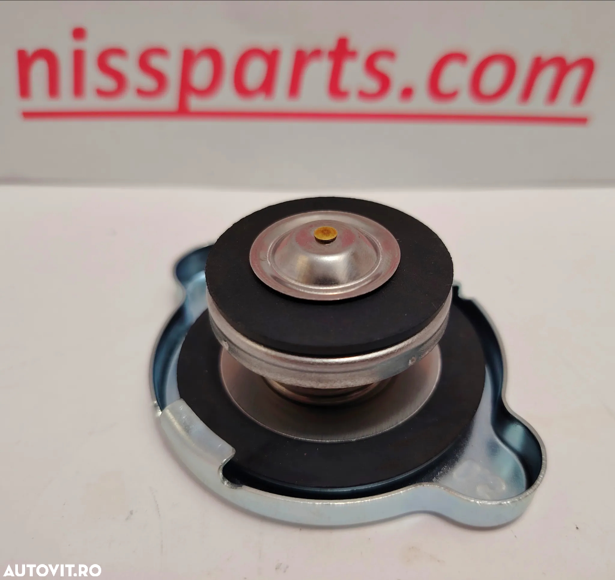 VAS EXPANSIUNE Nissan Atleon Cabstar Eco-T100 Ebro L35-08 L35-09 L35-O85 LICHID RACIRE ANTIGEL - 14
