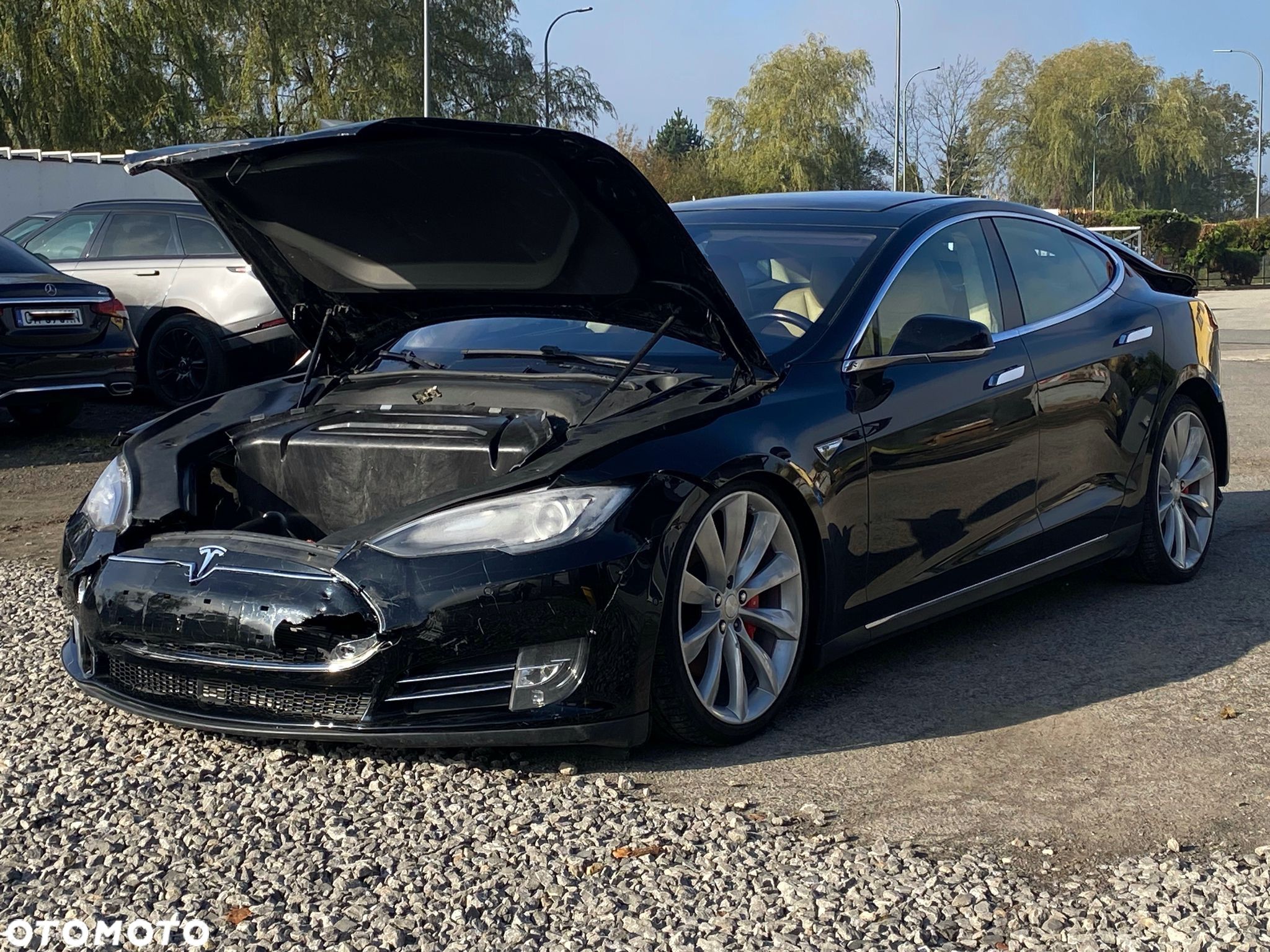 Tesla Model S 85 D Performance - 1