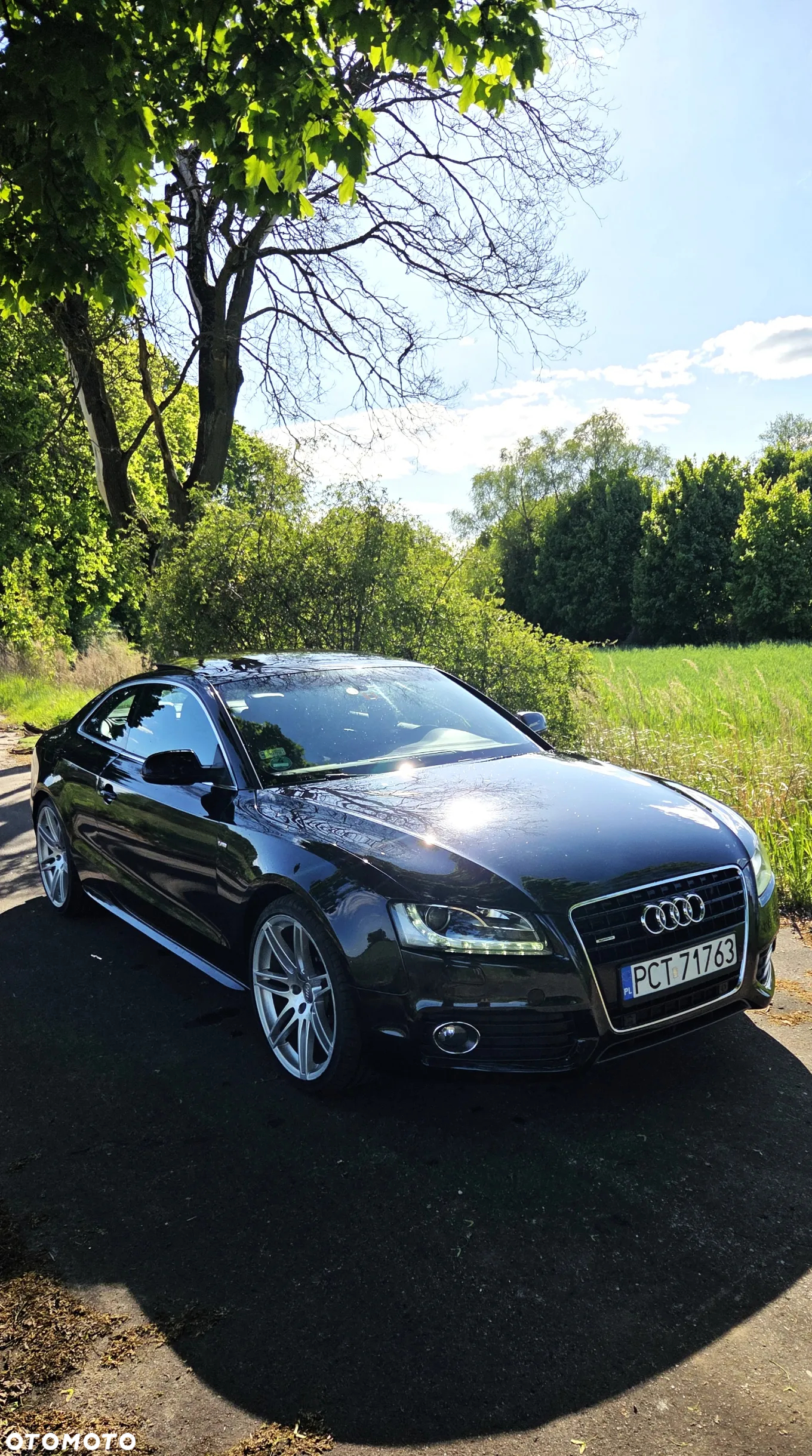 Audi A5 3.0 TDI Quattro S tronic - 3