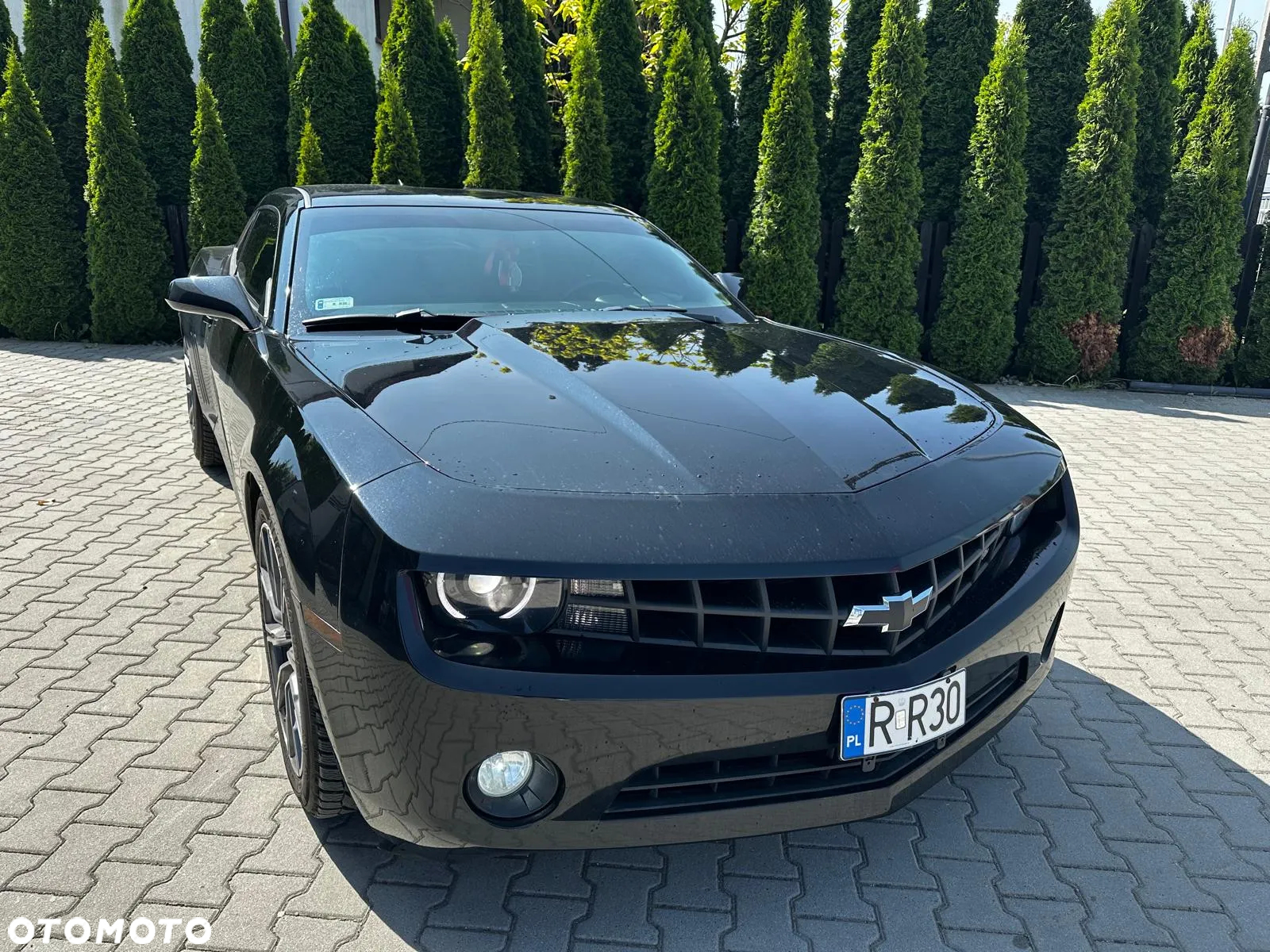 Chevrolet Camaro - 7