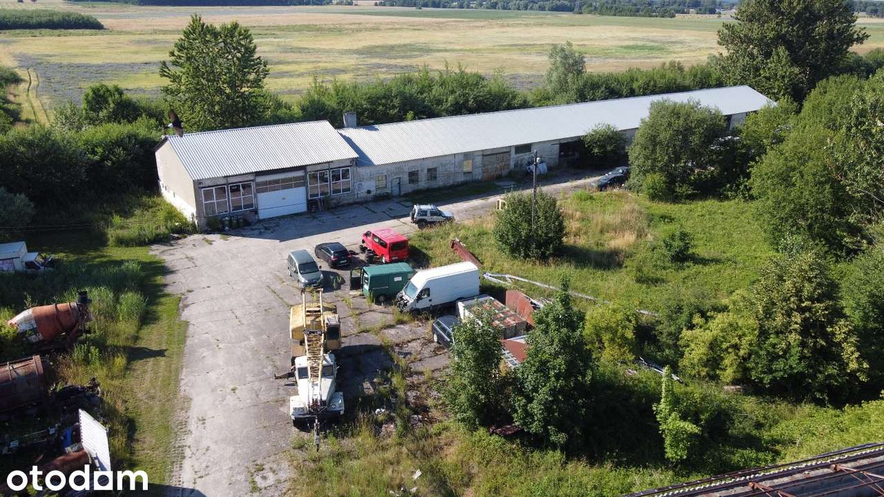 Hala magazynowa, warsztatowa, produkcyjna - Grunt 4,5 hektara - Pełny obrazek: 2/20
