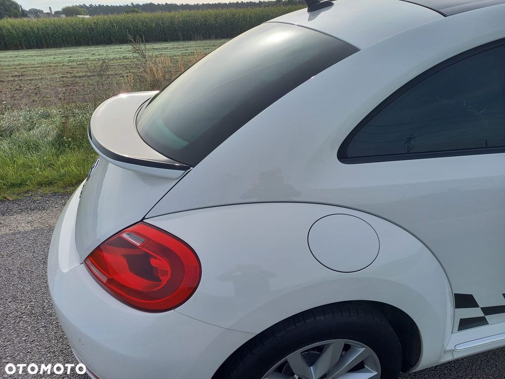 Volkswagen Beetle - 5