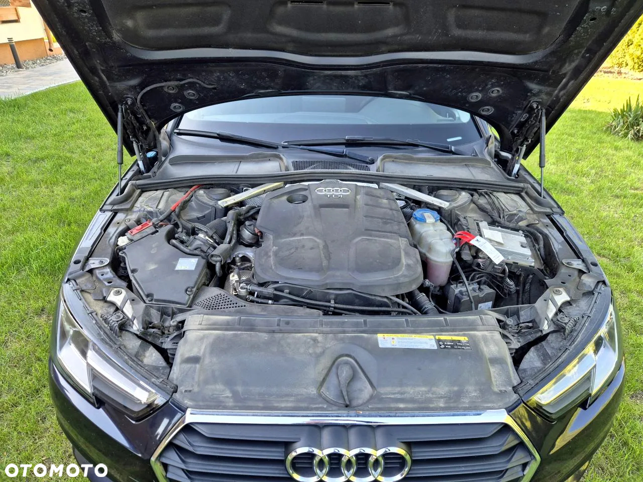 Audi A4 - 32
