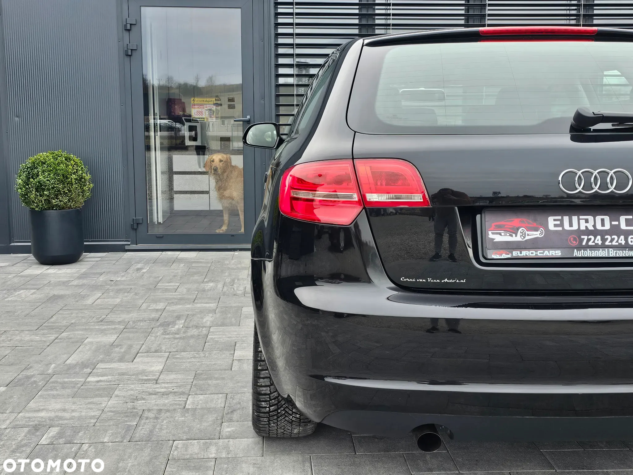 Audi A3 1.6 Sportback Ambiente - 36