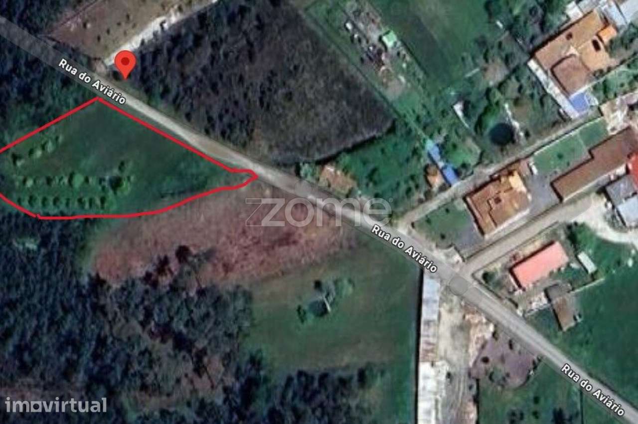 Terreno Urbanizável com 2577m2 | Febres - Cantanhede - Grande imagem: 5/15