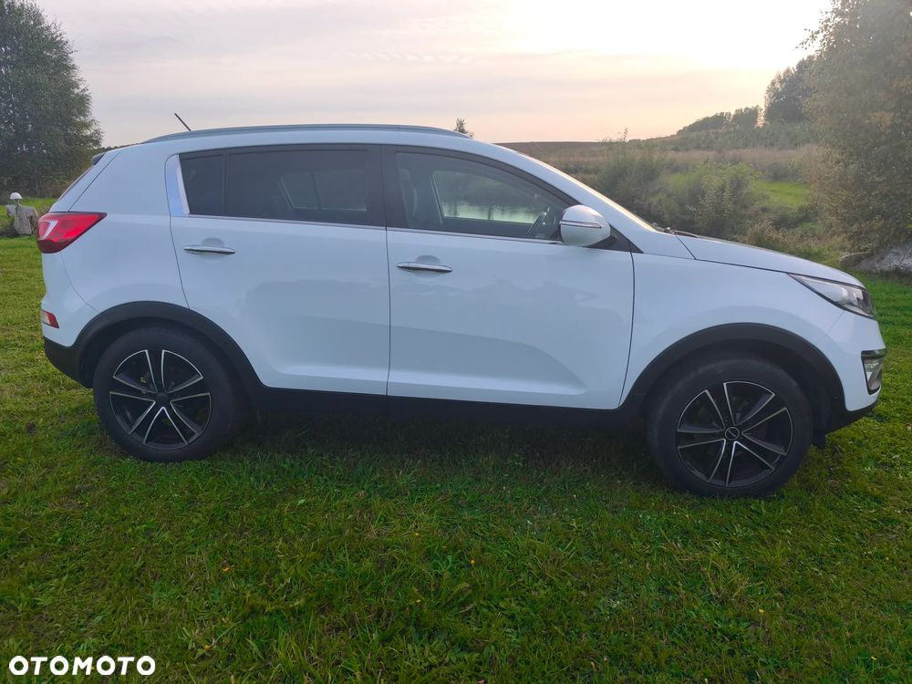Kia Sportage - 6