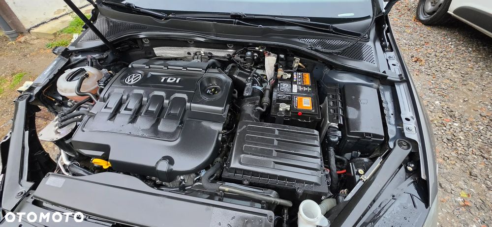 Volkswagen Golf - 8
