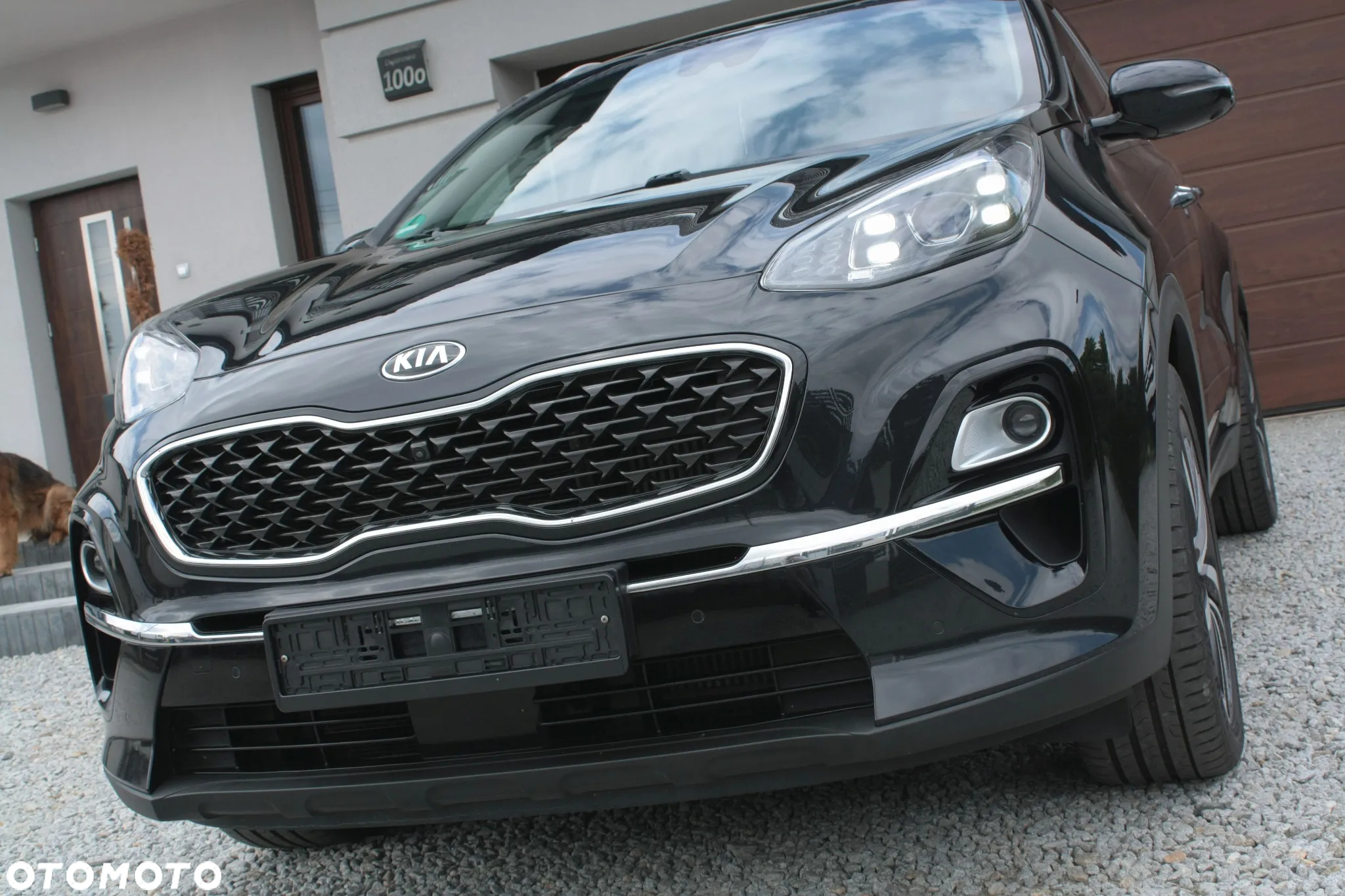Kia Sportage - 3