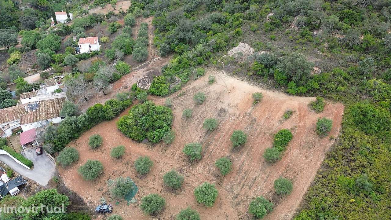 Quinta  para venda - Grande imagem: 4/11