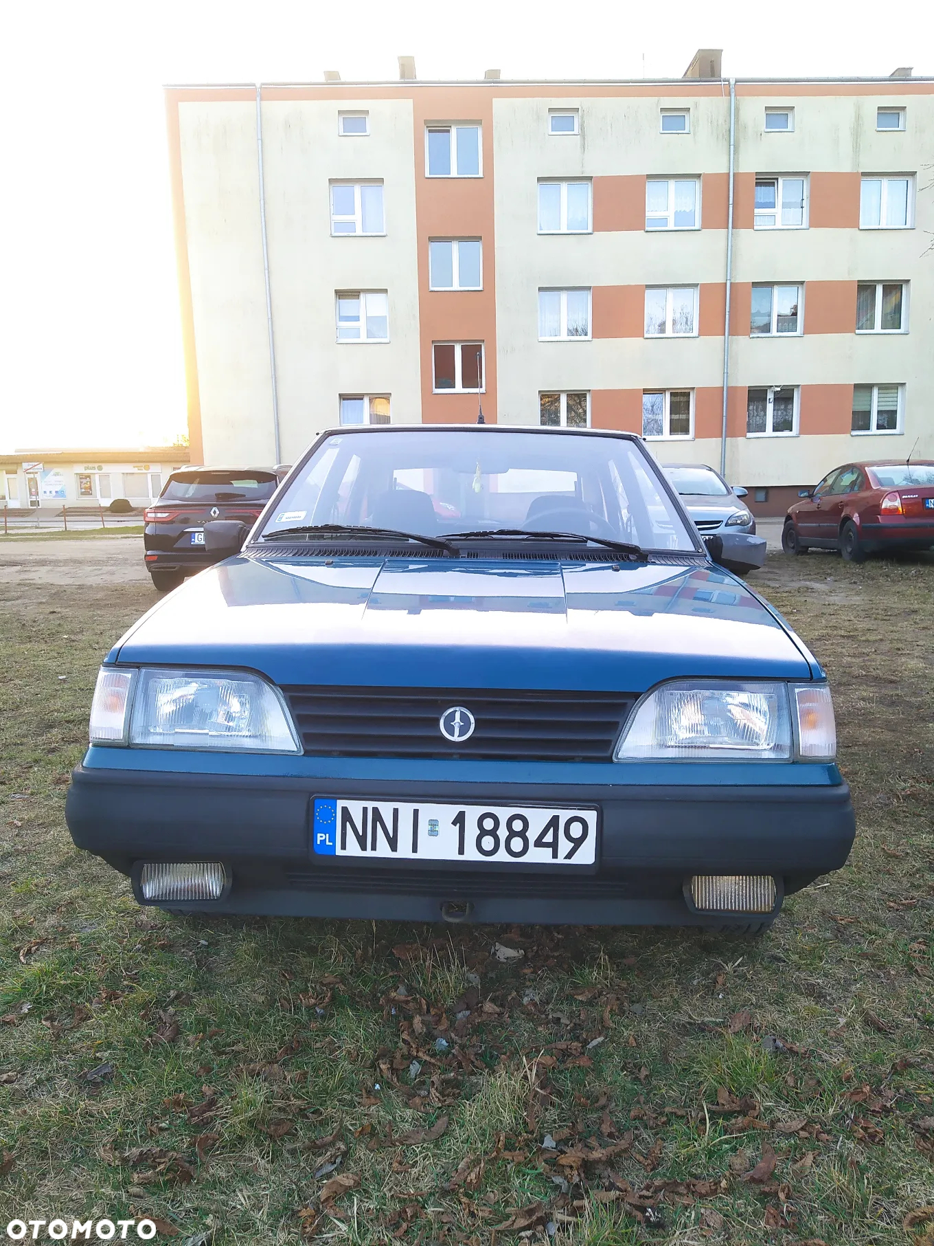 Polonez Caro - 5