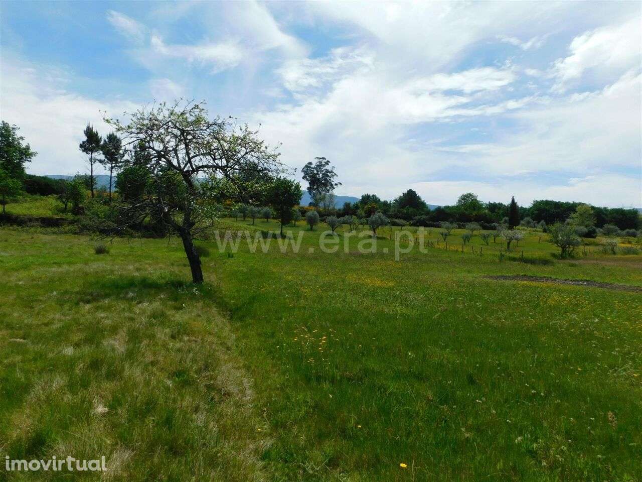 Terreno / Seia, Sameice e Santa Eulália - Grande imagem: 5/15