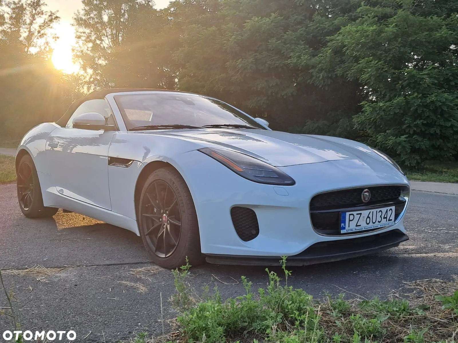 Jaguar F-Type 2.0 Turbo First Edition - 6