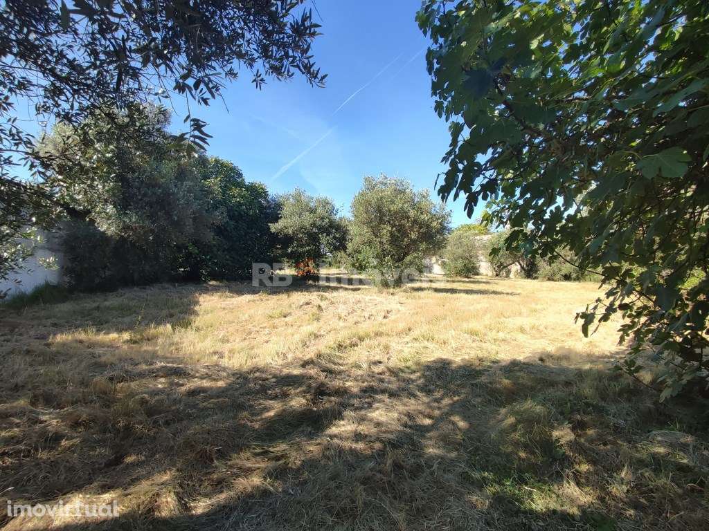 Dois Terrenos Urbanizáveis com 2480 m2 - Pesqueira, Tomar - Grande imagem: 5/45