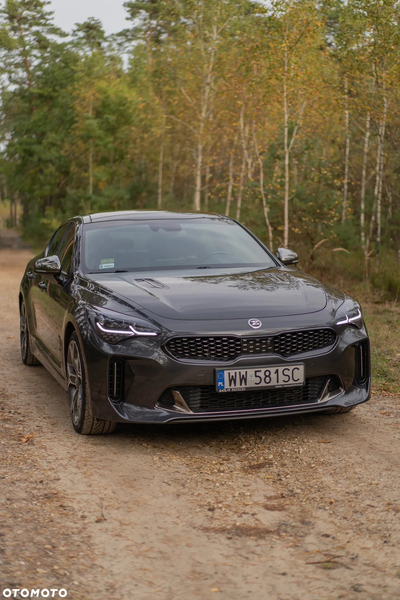Kia Stinger 3.3 T-GDI V6 GT AWD - 2