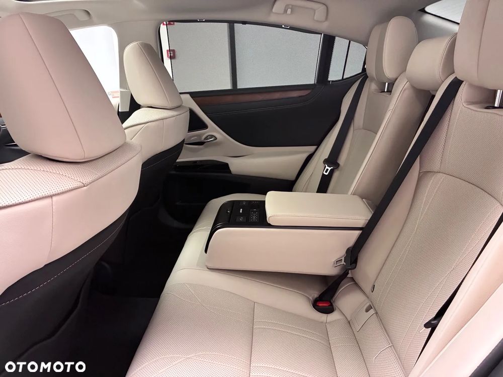 Lexus ES 300h Omotenashi - 11