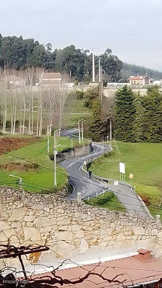 Quinta T5 - Grande imagem: 4/14