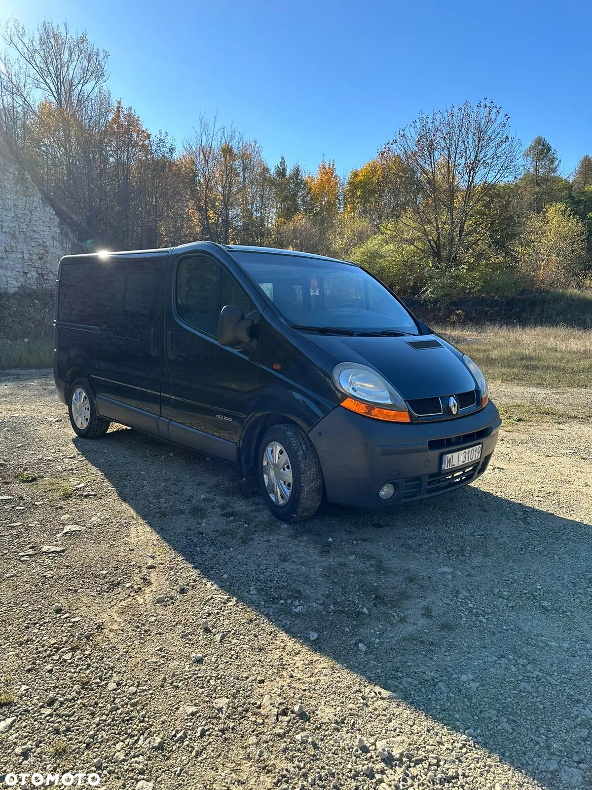 Renault Trafic - 8