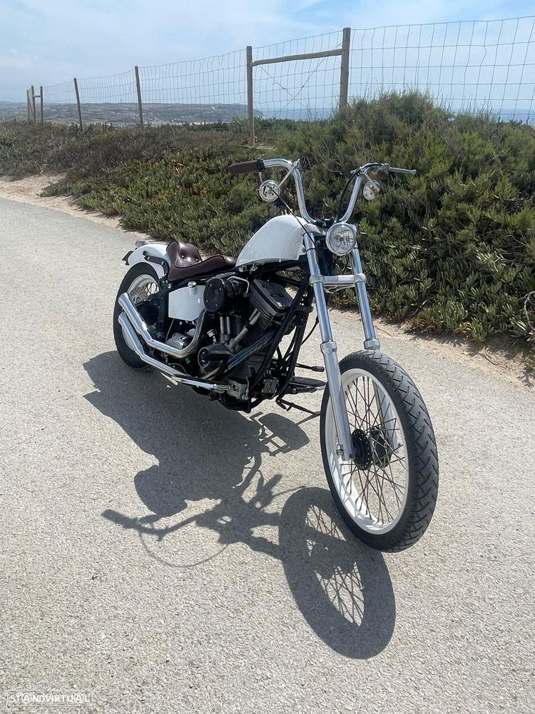 Harley-Davidson FXSTS - 7