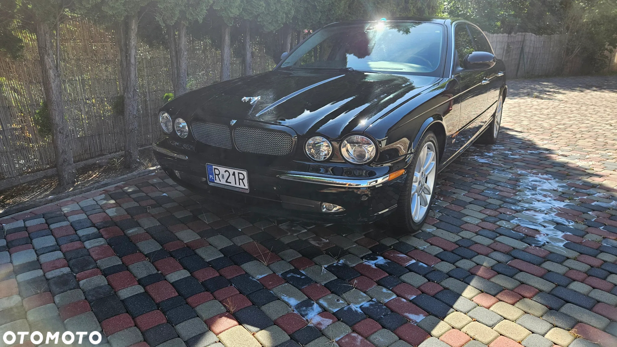 Jaguar XJR 4.2 - 24