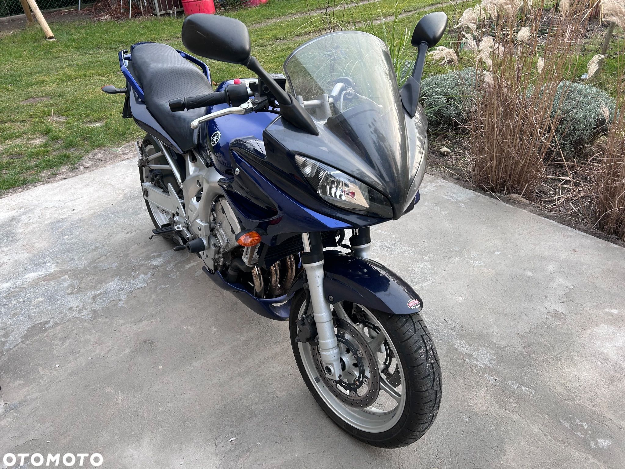 Yamaha FZ6 - 1