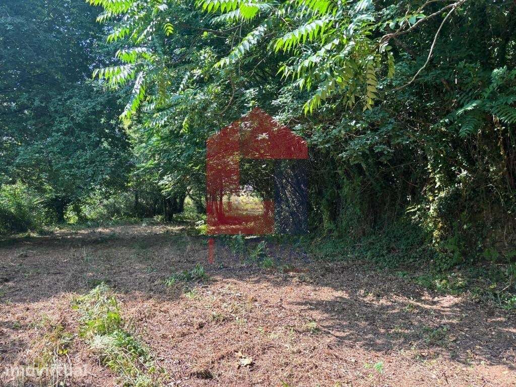 Terreno agrícola, Parada de Gatim - Grande imagem: 3/43