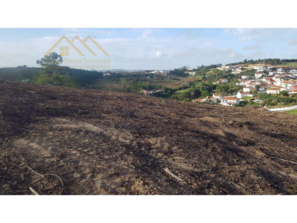 Terreno Rústico na Fonte Grada, Torres Vedras - Grande imagem: 2/5