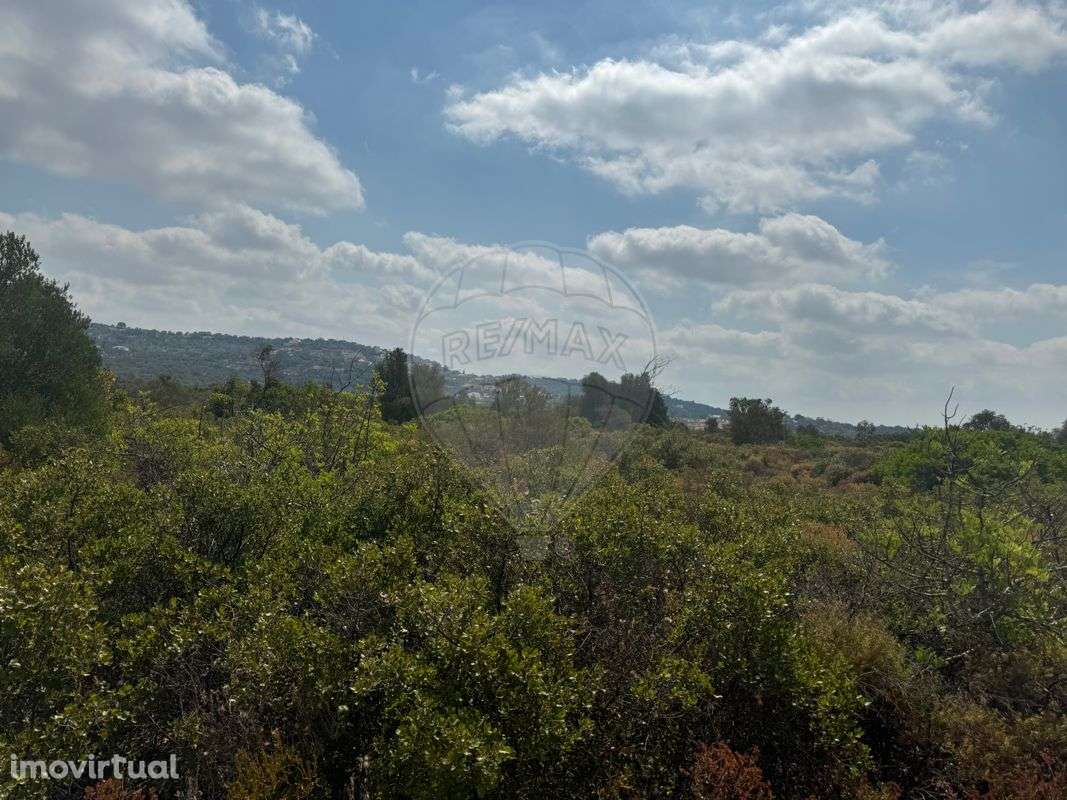 Terreno  para venda - Grande imagem: 3/14