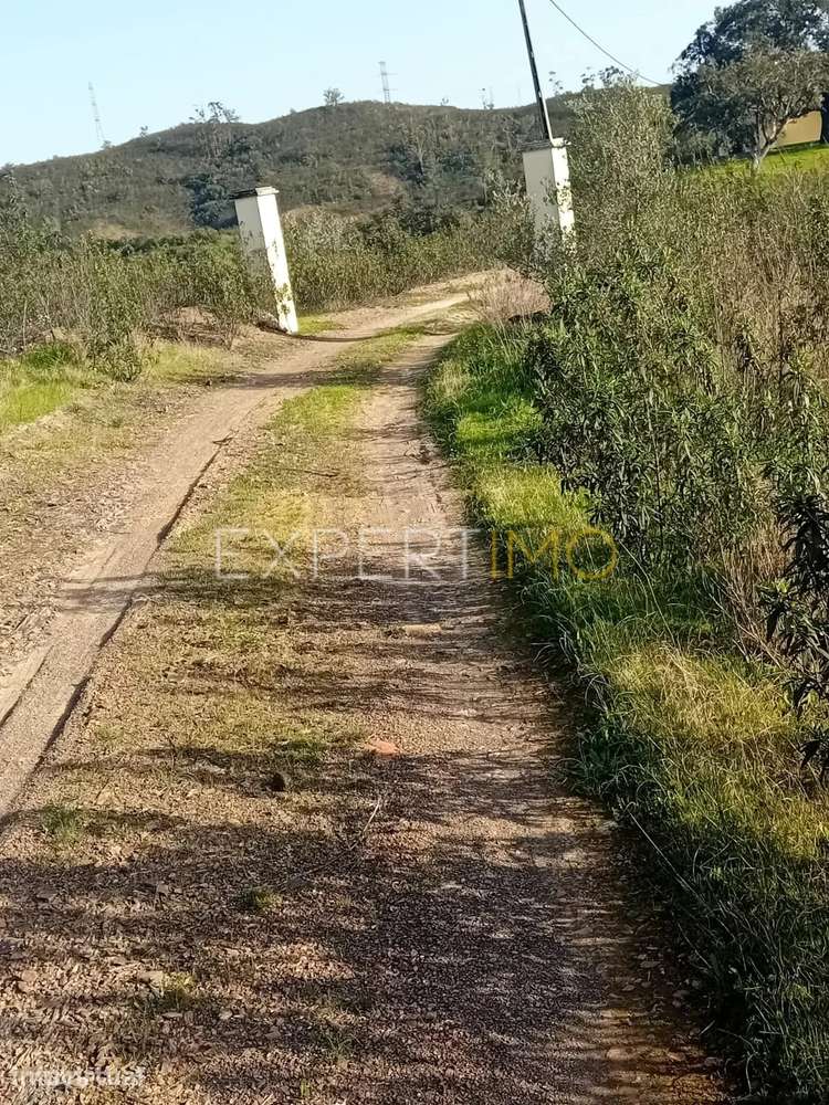 Quinta com moradia para recuperar - Silves - Grande imagem: 5/19