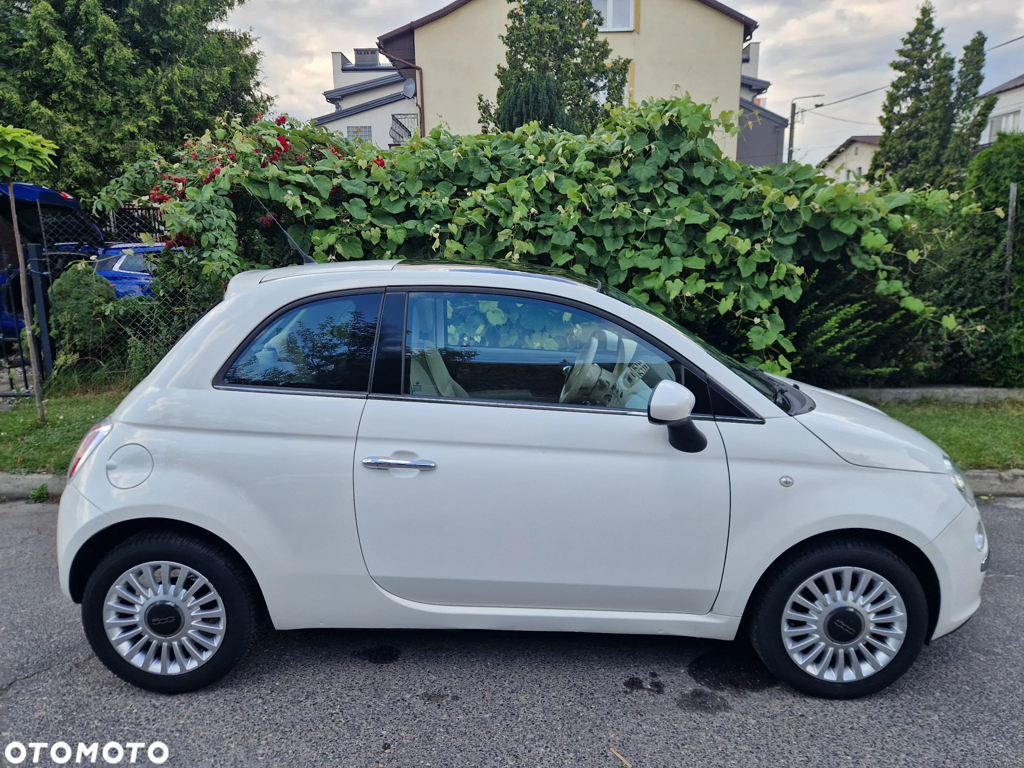 Fiat 500 - 7