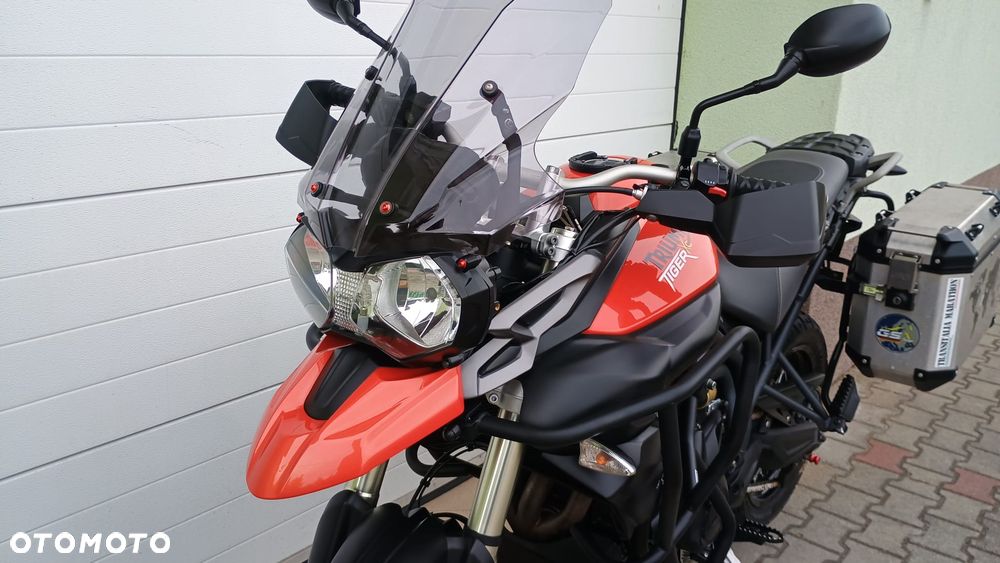 Triumph Tiger - 10