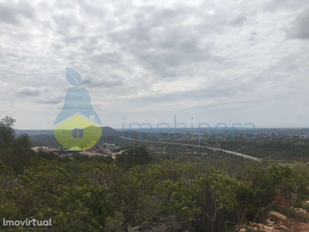 TERRENO RÚSTICO 4.980m2 EXCELENTE VISTA PANORÂMICA - Grande imagem: 4/14