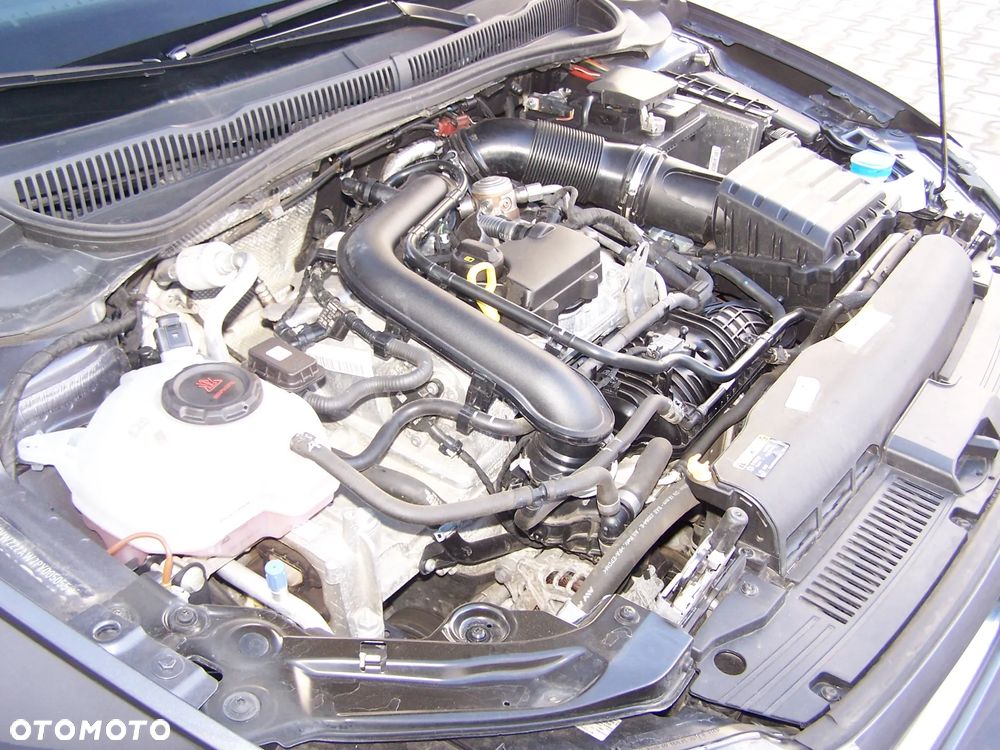 Volkswagen Polo 1.0 TSI Edition 50 DSG - 16