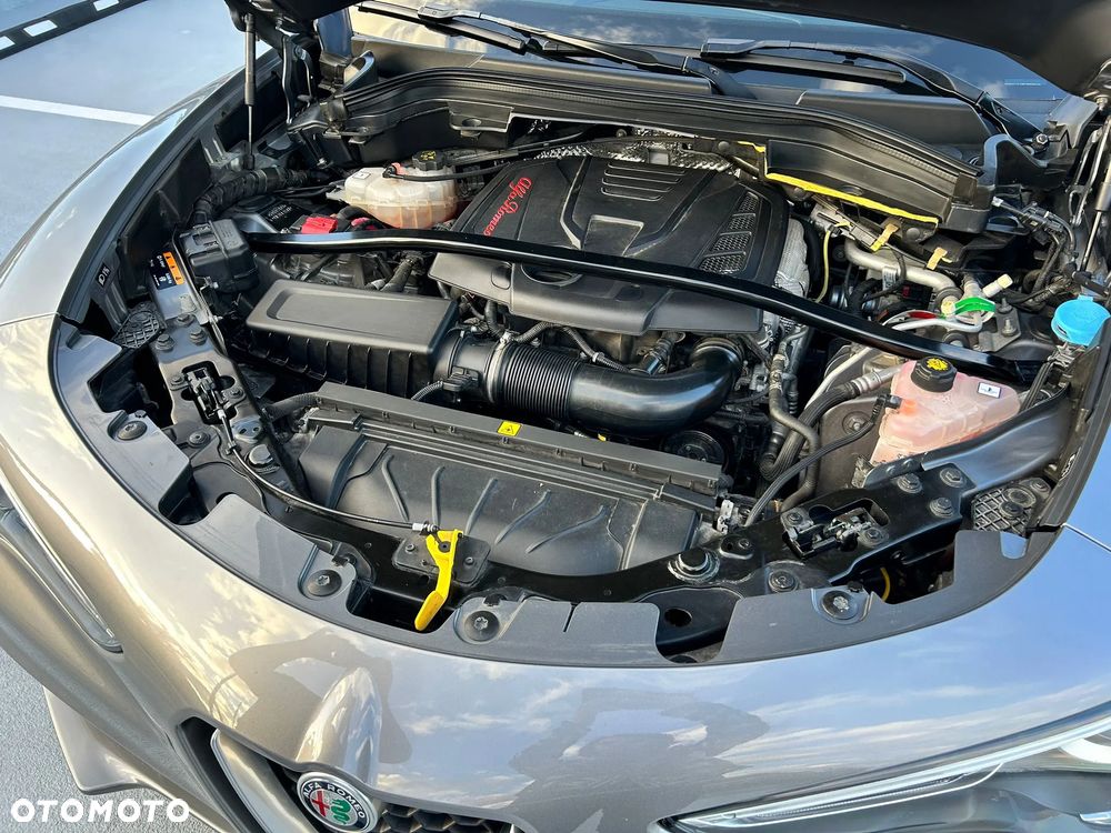 Alfa Romeo Stelvio 2.0 Turbo First Edition Q4 - 20