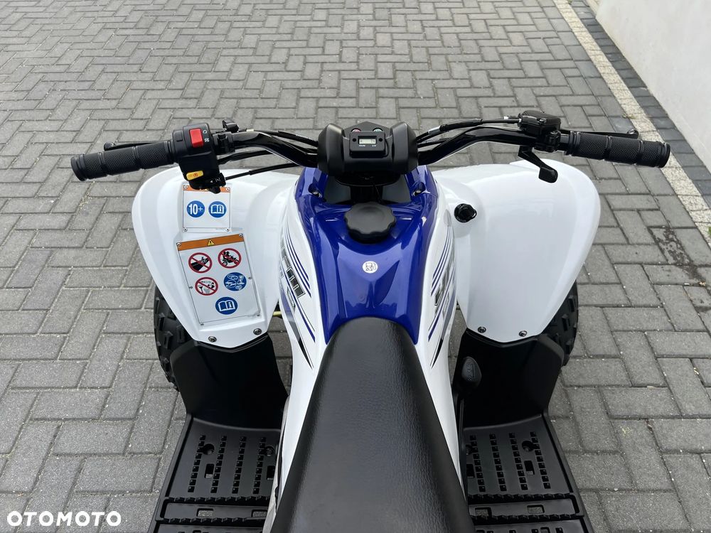 Yamaha Raptor - 4