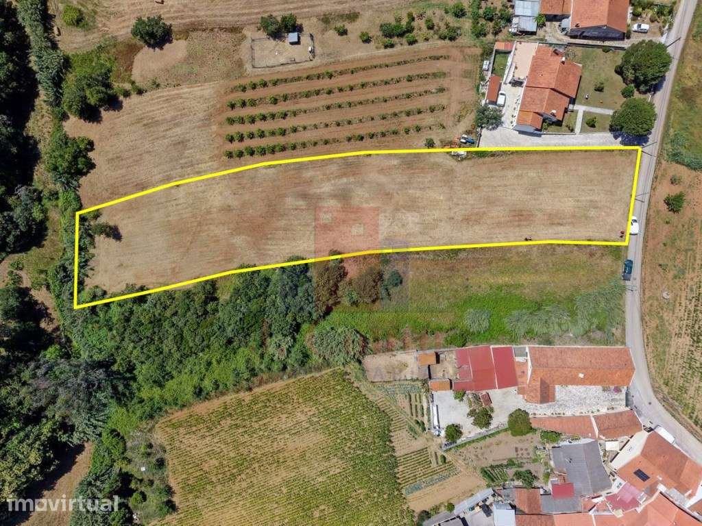 Terreno para Construção com Vista Campo e Mar Próximo da Nazaré - Grande imagem: 2/8