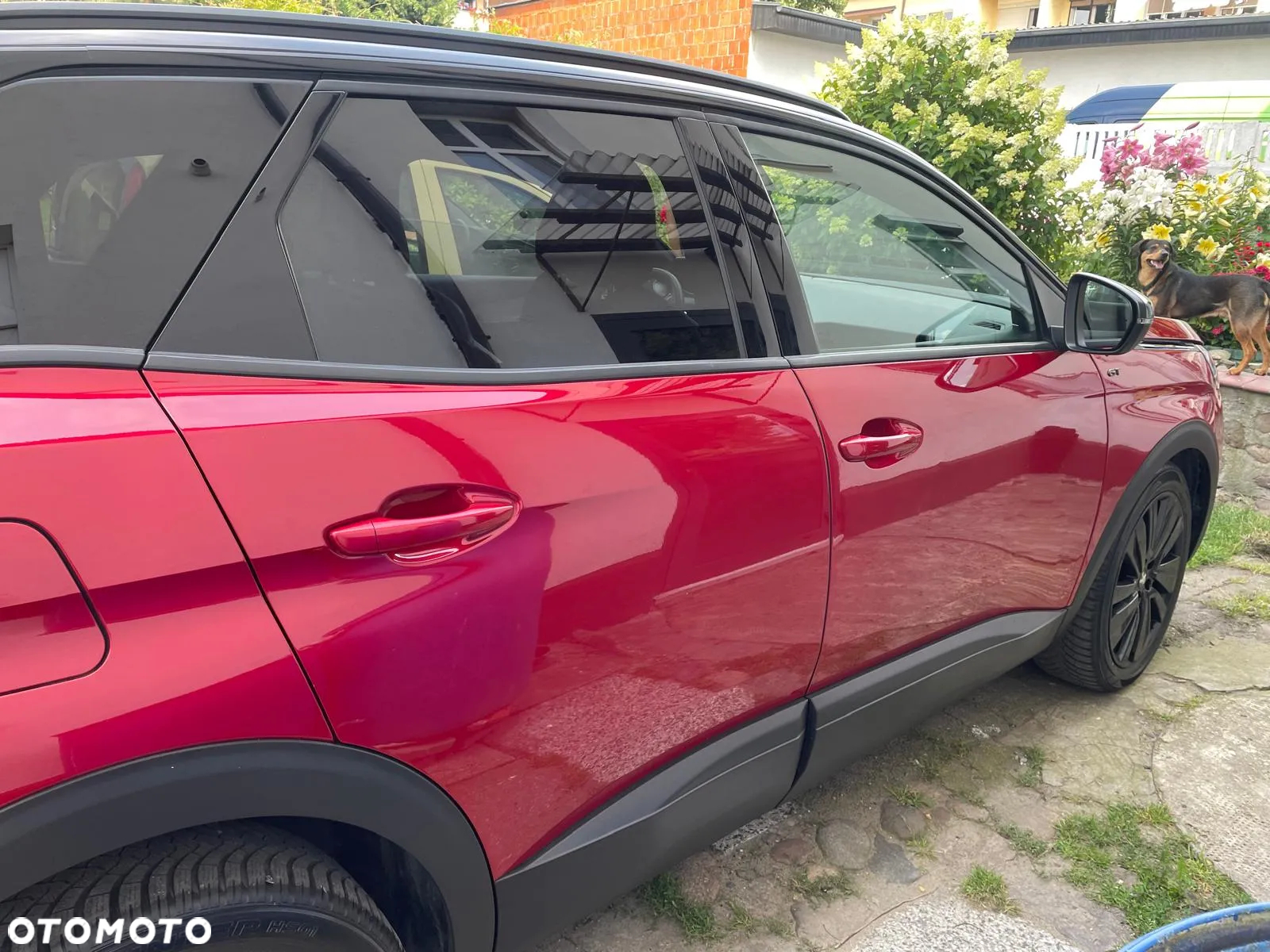 Peugeot 3008 PureTech 180 Stop & Start GPF EAT8 GT - 14
