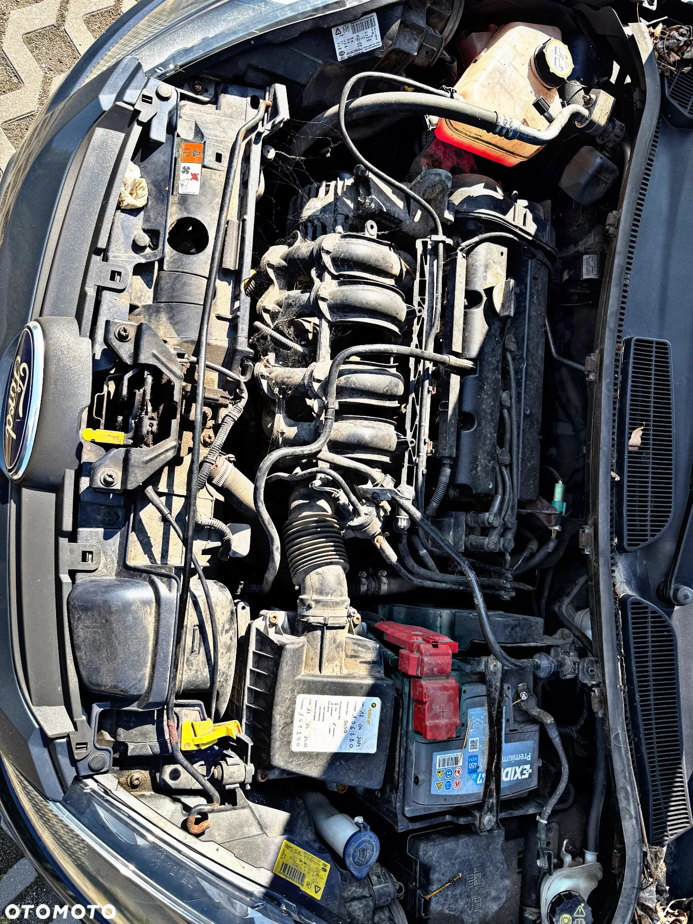 Ford Fiesta 1.25 Ambiente EU5 - 13