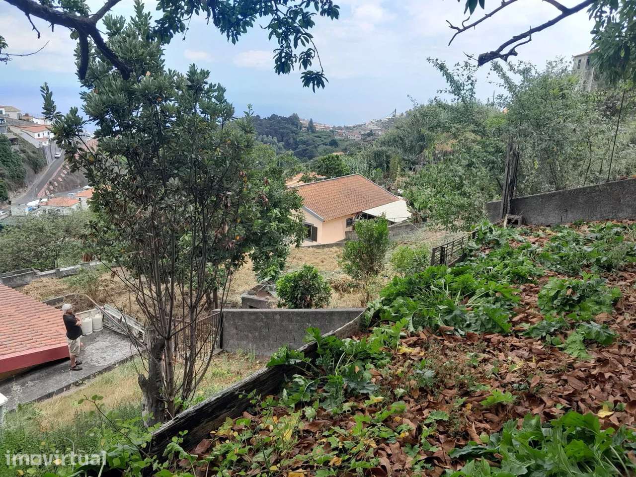 Moradia T2 com terreno e vista mar em Santo António, Funchal - Grande imagem: 3/26