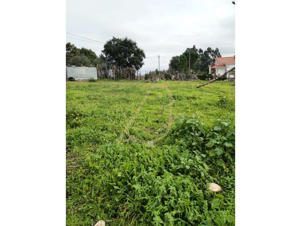 Terreno Exclusivo com 3.560 m² e Elevado Potencial de Construção em... - Grande imagem: 4/5