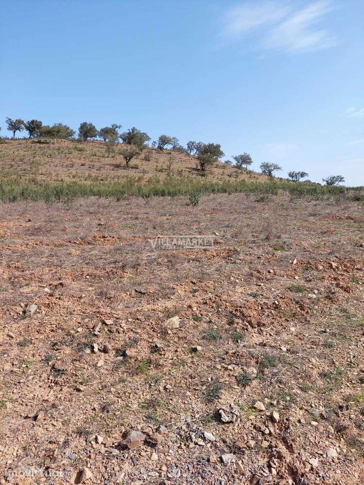 Terreno rústico com 182 250 m2 situado no Concelho de Ourique - Alente - Grande imagem: 5/12