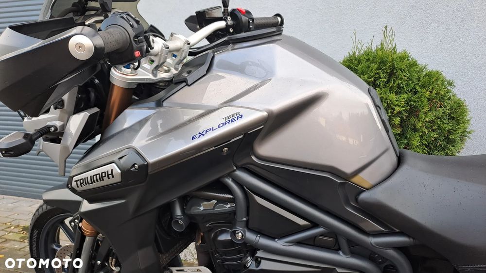Triumph Tiger - 24