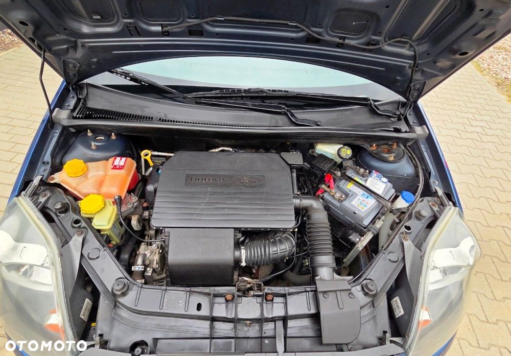 Ford Fiesta - 14