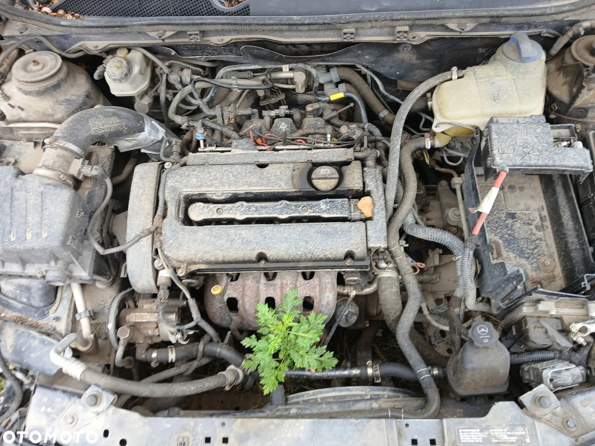 vauxhall/opel insignia A Z22C silnik 1.8 16V 140 KM A18XER skrzynia MZ0 napęd sanki belka wahacz - 3